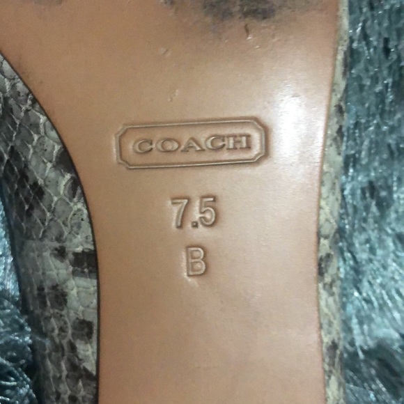 COACH Snake Print Kitten Heels Sz 7.5 - Picture 8 of 8